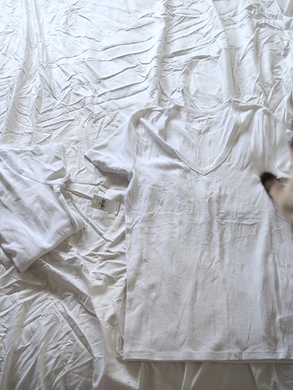 2 Pack Gap Women's White V-Neck Short Sleeve Sleep Tee - Classic Comfort